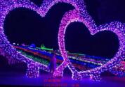 LED裝飾燈
