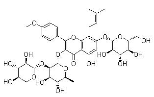 ޽B