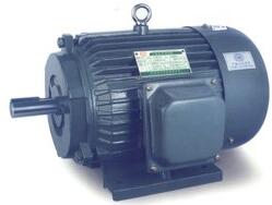 交流電動(dòng)機(jī)