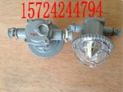 DGS18/127L18WA18WL