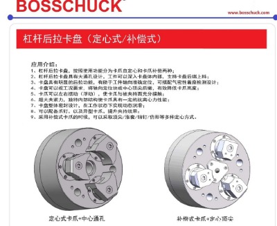 bosschuckܗUPַ֧ǘ(bio)֧־SޱB(yng)