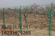@FzW(wng)ɽW(wng)(chng)؇ھW(wng)(D)