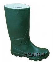 (yng)|ݸo(h)ЬVݷѥֵُ(gu)I(mi)
