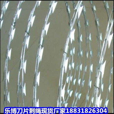 \KS SIFzW ̌SW