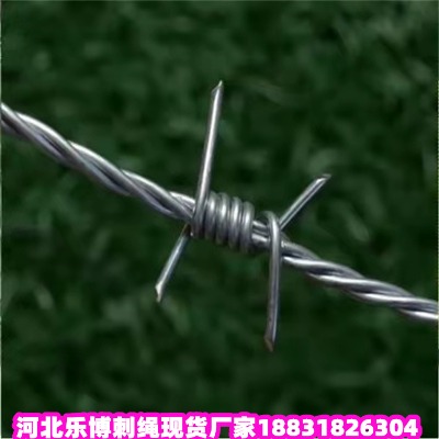 |\KS(chng) ߷6ﰲȫo(h)F޼
