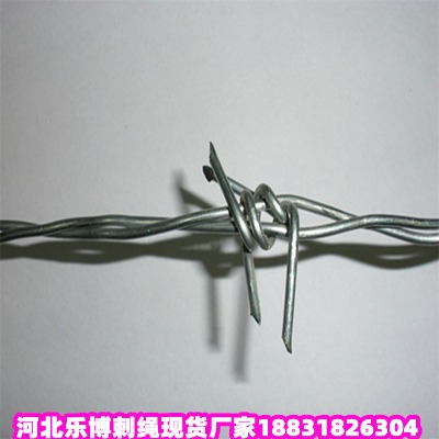 ӱ\KS \Fz ¹Ȫ\䓽zW