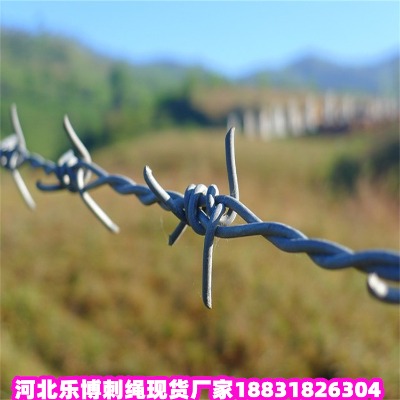 \KS 10\䓽zW
