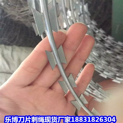 \KS(chng) 12̖(ho)W(xu)УС^(q)IW(wng)