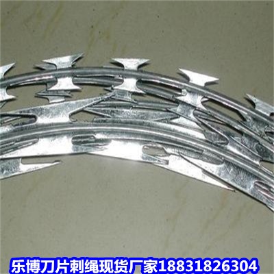 C\KS(chng) 5W(xu)УС^(q)IW(wng)