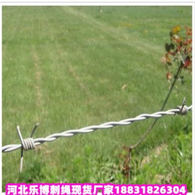 V|\KS7Ȧ䓽zW(wng)(l)F(xin)؛(yng)