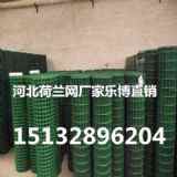 |˺mW(wng)B(yng)ֳFzW(wng)1.8x30׏Sa(chn)