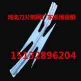 FݴKo(h)W(wng)FꖵƬ̾W(wng)혙C(j)L\o(h)W(wng)