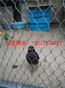 B(nio)᲻P䓾W(wng)B(nio)@P䓇ھW(wng)