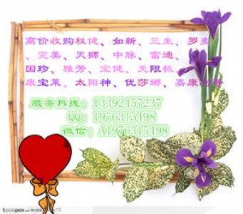 ˾߃rُཡa(chn)Ʒ