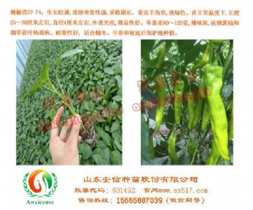 ӱl(f)ŷN簲ȫ