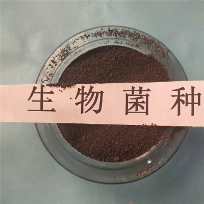΢(f)ϾN͵͜ؿ_ԏ(qing)S҈(bo)r(ji)gӭԃ