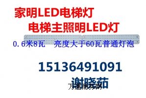 LEDݟLED