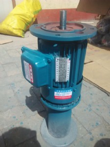y-802-4ஐ늄(dng)C(j) 750w-4p(gu)(bio)
