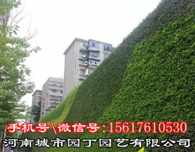 _(ti)Gֲ(xing)Ŀ
