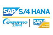 sap s/4 hanaI(y)̄(w)׼-sapƼ