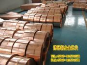 C1100~T2~h(hun)~SGS