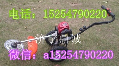 СʽݙC͸CrS