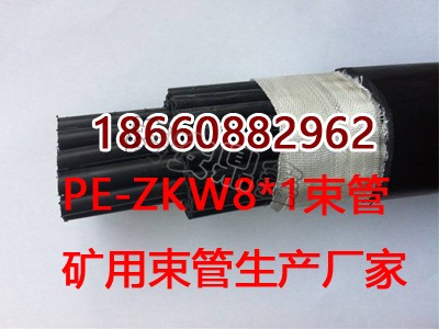 pe-zkw8*16V܏Sңϩ