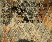 ɶⁿ˾W(wng)S|teccoӷoW(wng)l(f)r|ă(yu)