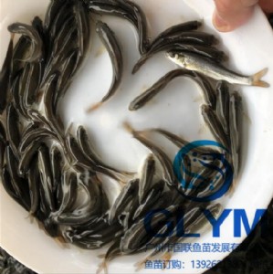 ~(y)NV݇(gu)(lin)~(y)硿yL~(y)N