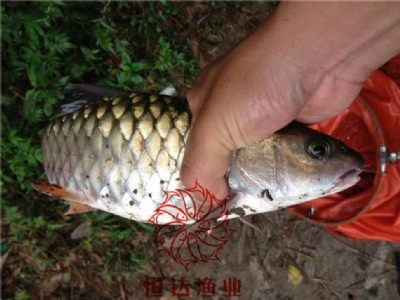 ~(y)~(y)l(f)Vݺ_(d)~(y)硽~(y)r(ji)