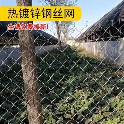 2mm֑(chng)W(wng)W(xu)Уو(chng)o(h)W(wng)W(xu)Уw(chng)