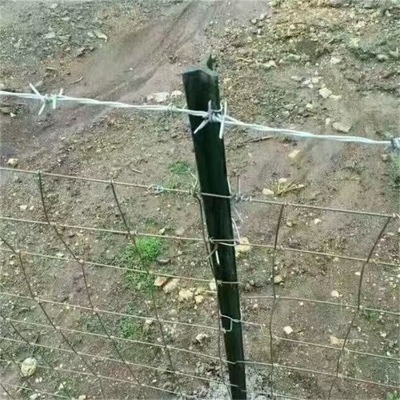 ӱFzKSزP䓽zK_FzK
