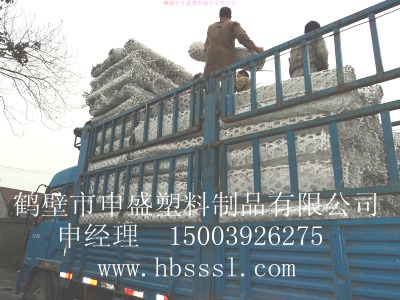 ϾW(wng) ü픾W(wng) pW(wng)o(h)픾W(wng)