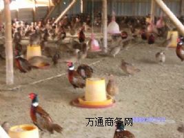 ϳɻʘOߵɽu硢ƽrɽu