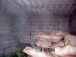 rʳŴكҺϷʢѩ