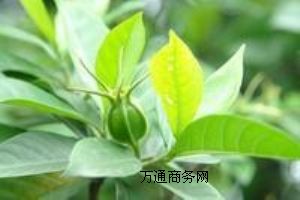 (yu)|(zh)Чζ