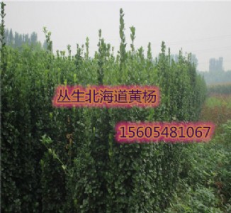 ɽ|2-34ׅSr(ji)ֱN(xio)