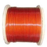 7*19PK304l P䓽zKz 䓽zKӹ