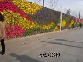 ƌW(xu)wGǰֱGO(sh)Ӌ(j)Gʩ