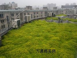 픻@e_G픾G