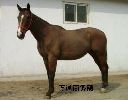 NRB(yng)ֳNRB(yng)ֳNRB(yng)ֳأNRB(yng)ֳg(sh)