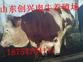 Nţ,Nţ,ţX(qin),ţЈ(chng)