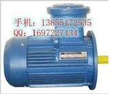 YBK2-250M-6늙CF(xin)؛/ɽ늙C