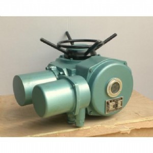 (yng)(h) (zh) dzw20-24