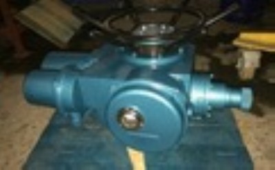 (yng)(h) (zh) dzw60-24