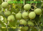 8518(yu)|磬޽Ӻ(D)