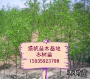 (yng)磬rɽƷ
