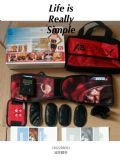 (yng)ABTronic X2ABAB