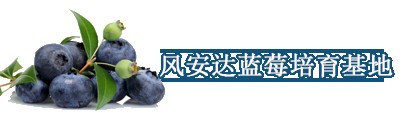 xrg{ݮl(f)Nֲ߮a(chn)ǉ