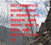 Ĵ֦(ni)GPS2ӷoW(wng)S߅·oW(wng)r񡢔rʯW(wng)